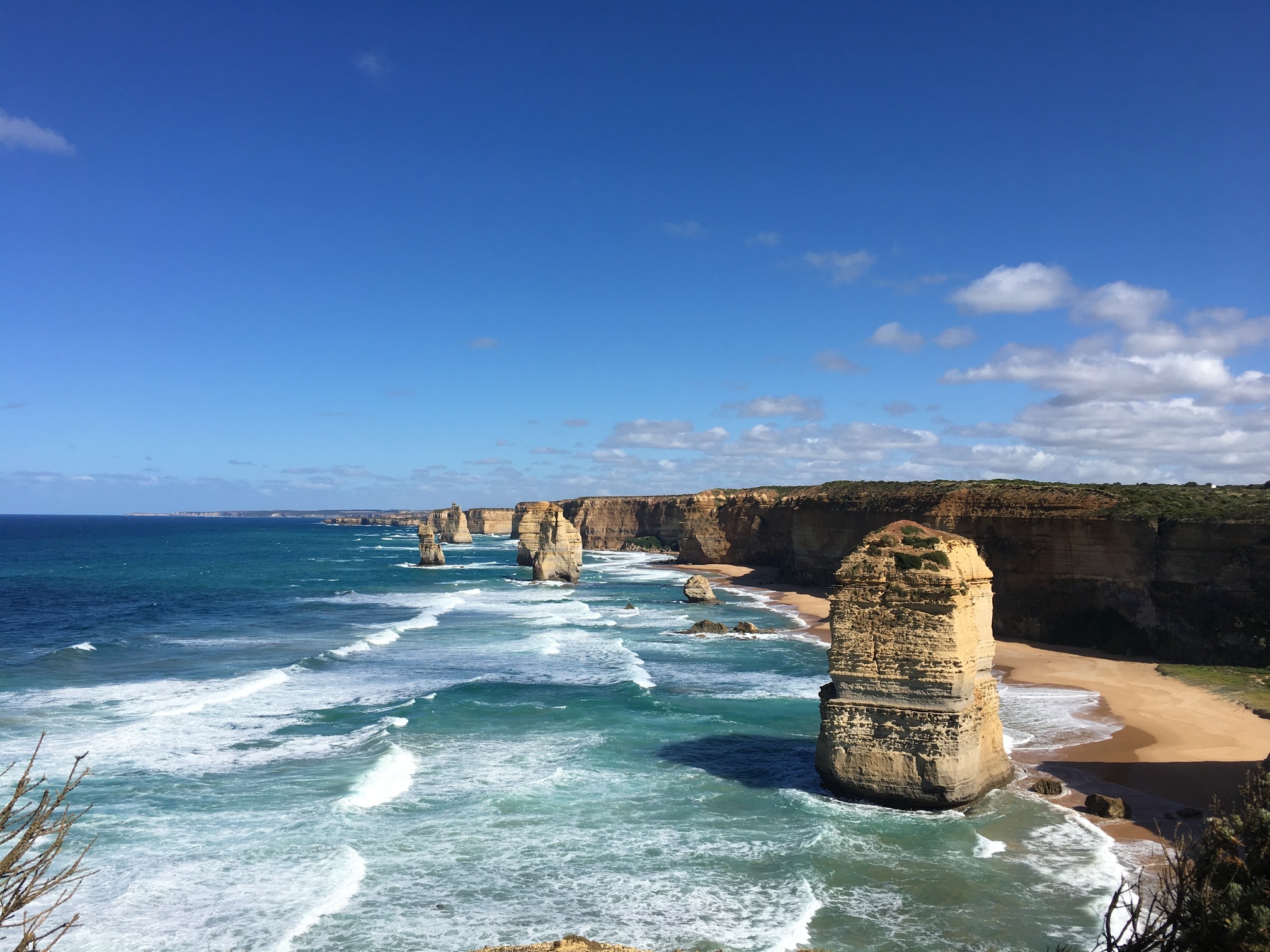 Best Of The Great Ocean Road - From Wild Koalas To The 12 Apostles ...